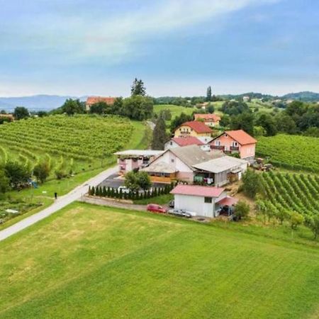Guesthouse Prenocisca Sirec Πτούι Εξωτερικό φωτογραφία