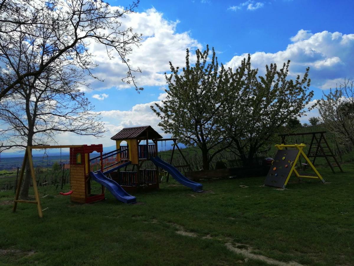 Guesthouse Prenocisca Sirec Πτούι Εξωτερικό φωτογραφία